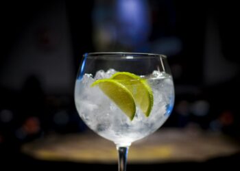 Mesa posta com taças de gin tônica, botânicos secos e tábua de queijos ao lado